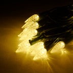 Danson Décor Warm White 40 LED C6 String Lights, 2.48-m