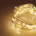 Danson Décor Multi Colour 20 LED Indoor String Lights, 1.9-m