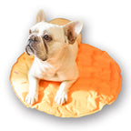 Pet Cooling Mat, Orange, 23.6-in
