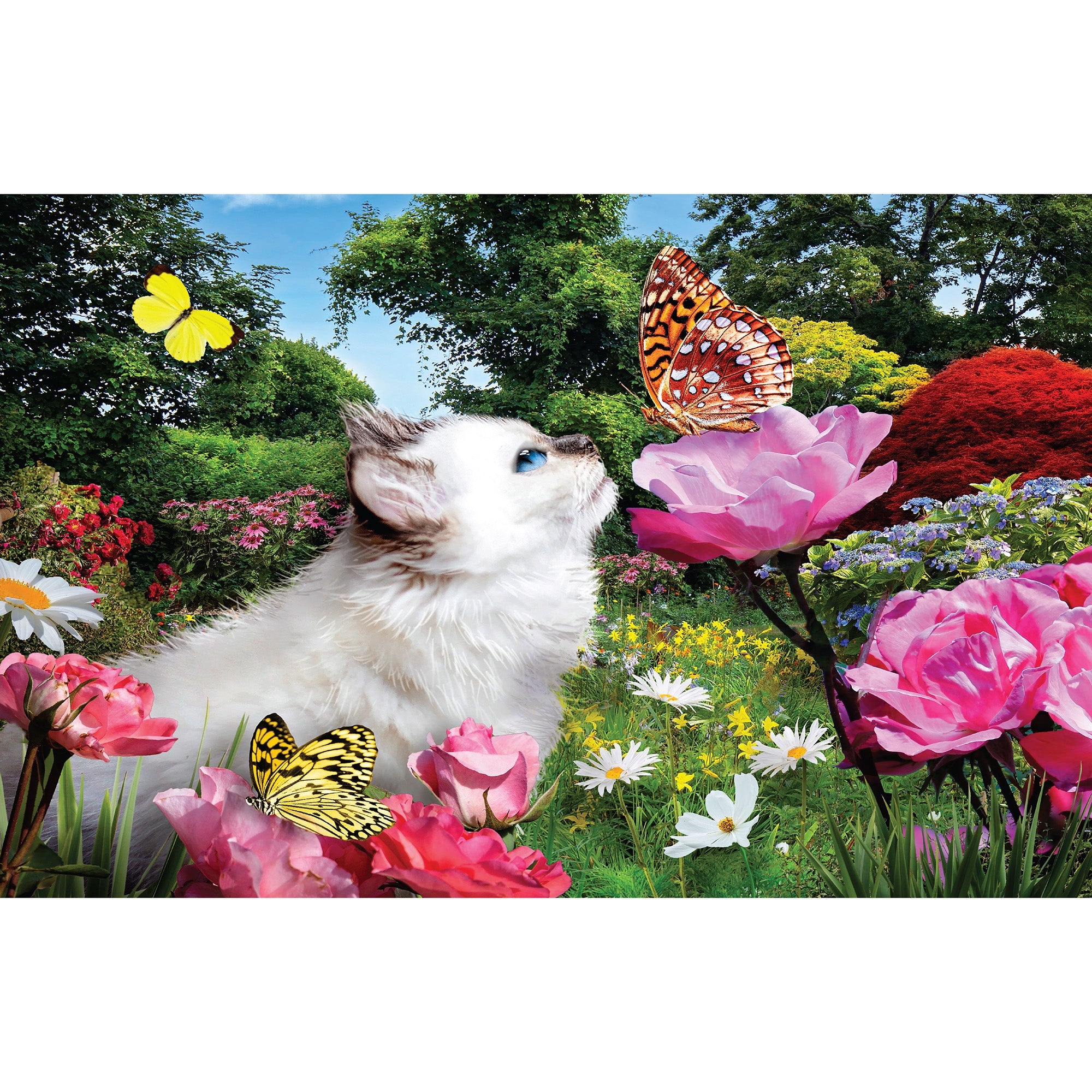 Puzzles, 500 Piece