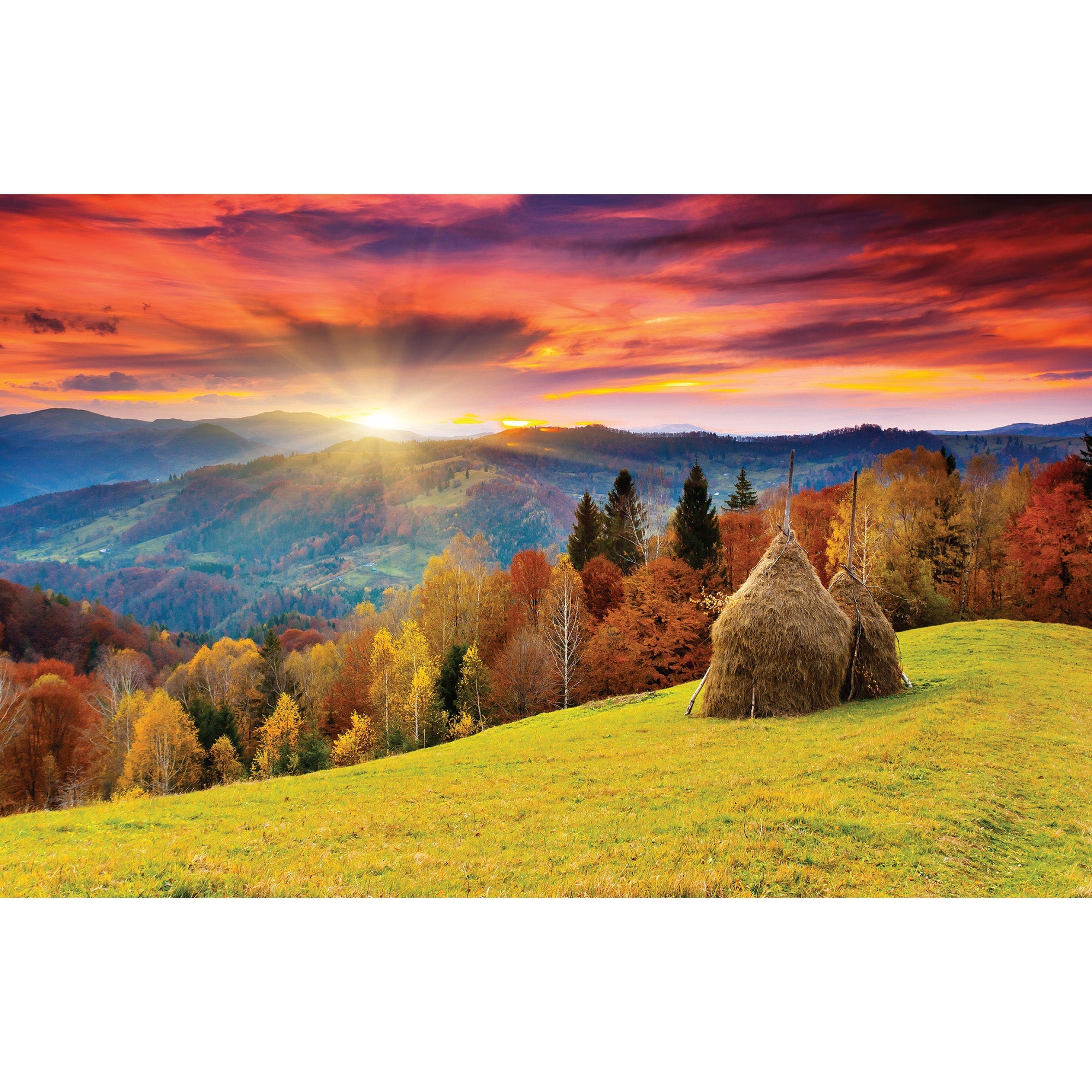 Puzzles, 500 Piece