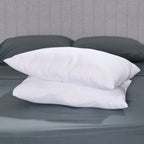 Pillows, 19-in x 27-in, 2 Pack