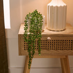 HomeStyles Greenery In Ceramic Pot, 4.5-in x 4.5-in x 5.5-in, Assorted