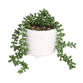 HomeStyles Greenery In Ceramic Pot, 4.5-in x 4.5-in x 5.5-in, Assorted