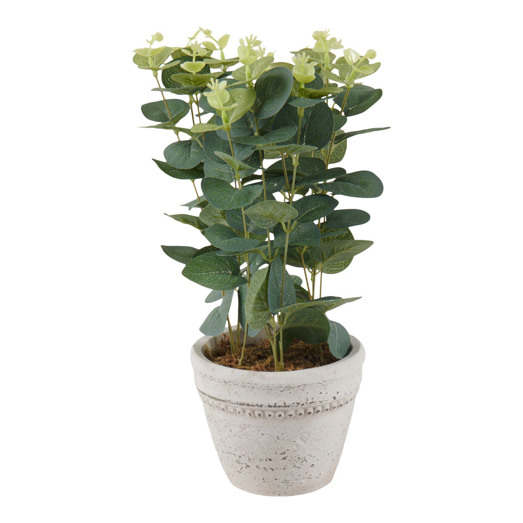 HomeStyles Eucalyptus/Lavender Plant In Pot, 7-in x 13-in.