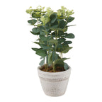 HomeStyles Eucalyptus/Lavender Plant In Pot, 7-in x 13-in.
