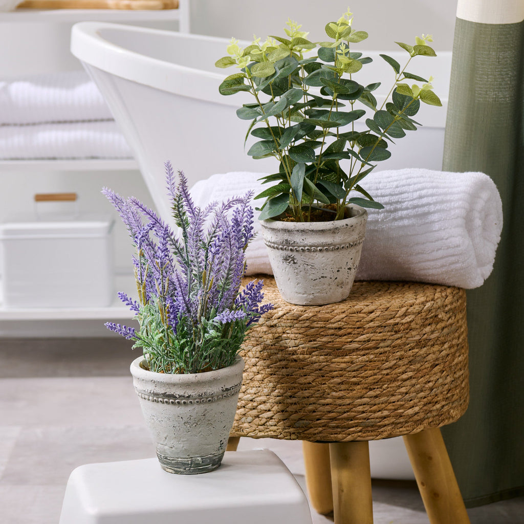 HomeStyles Eucalyptus/Lavender Plant In Pot, 7-in x 13-in.