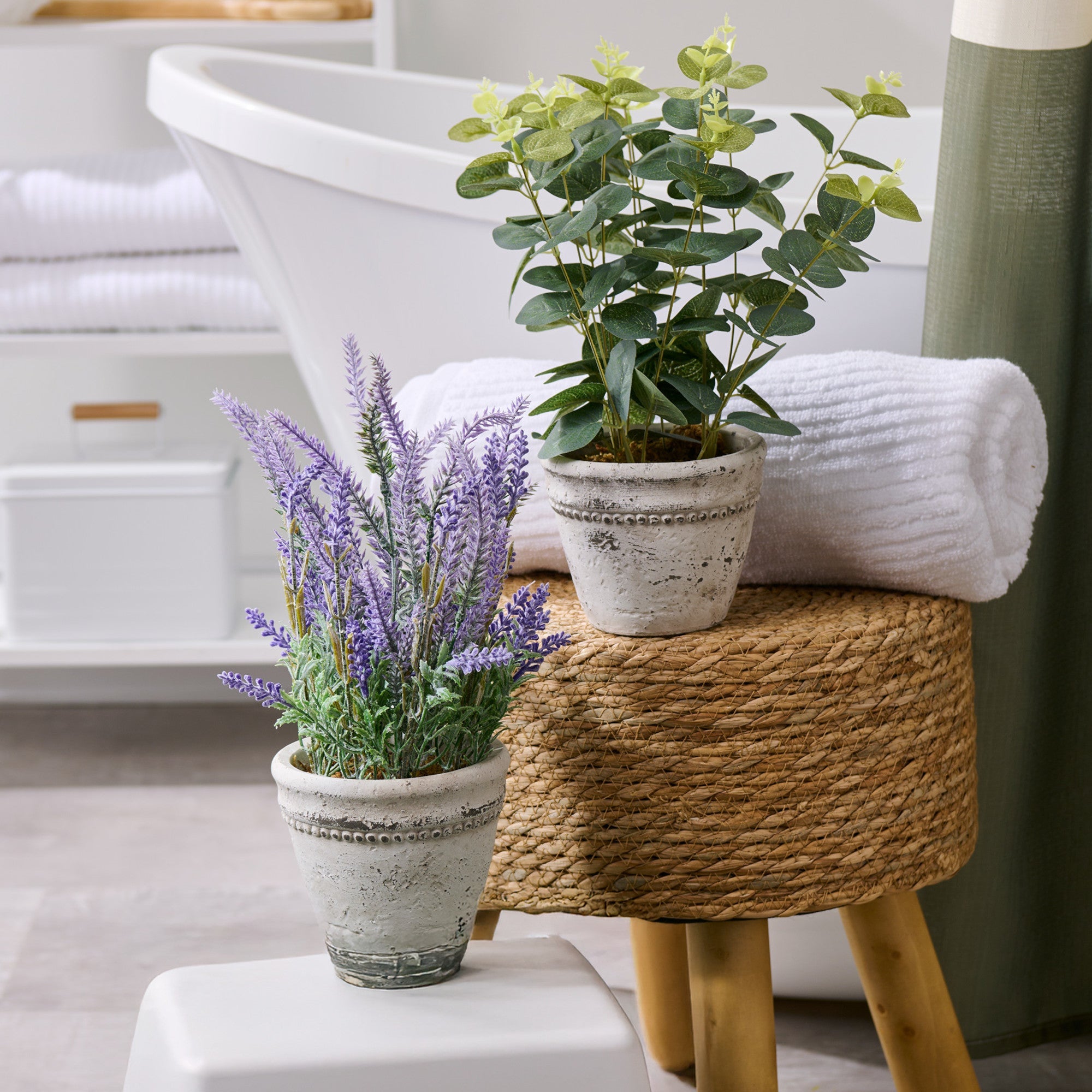 HomeStyles Eucalyptus/Lavender Plant In Pot, 7-in x 13-in.