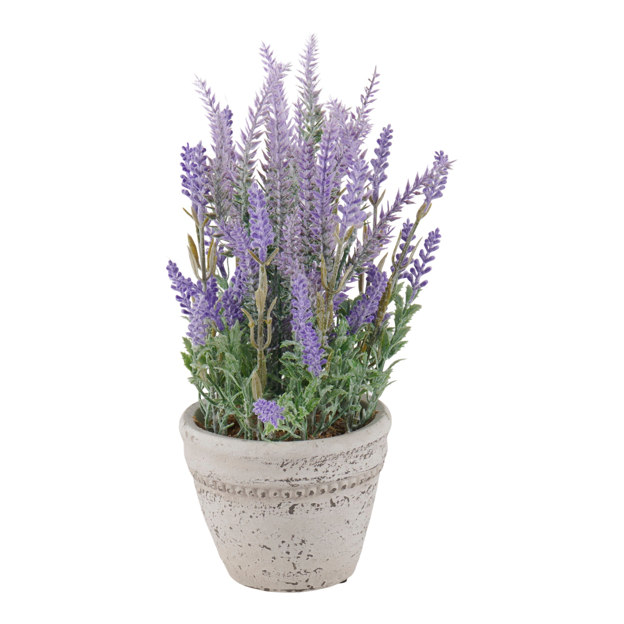 HomeStyles Eucalyptus/Lavender Plant In Pot, 7-in x 13-in.