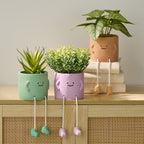 HomeStyles Novelty Artificial Plant, 6-in x 6.5-in.