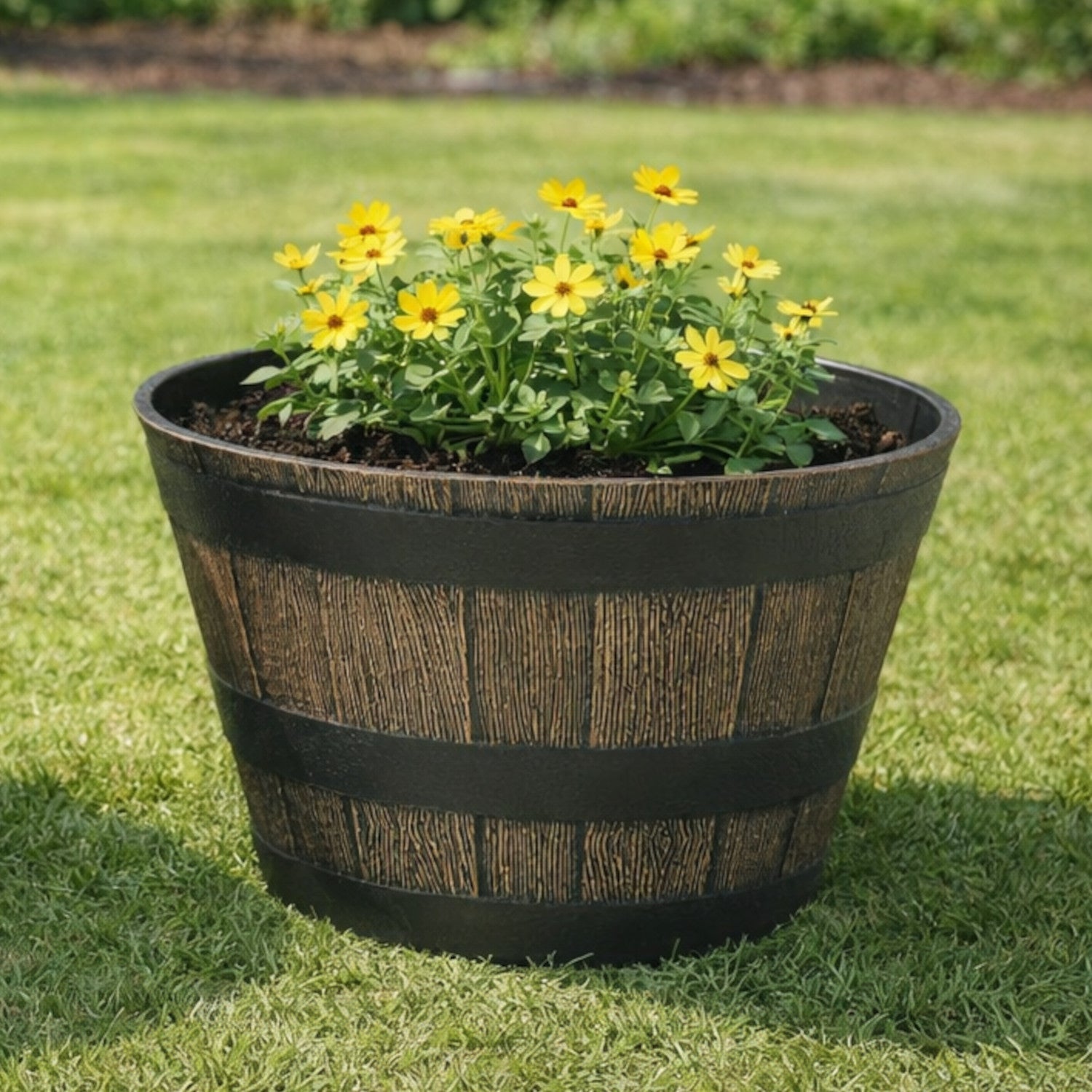 Jardinière en forme de baril de whisky, 20 po x 13 po