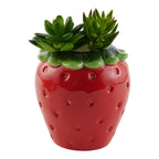 Ceramic Fruit Shaped Planter, 5-in.