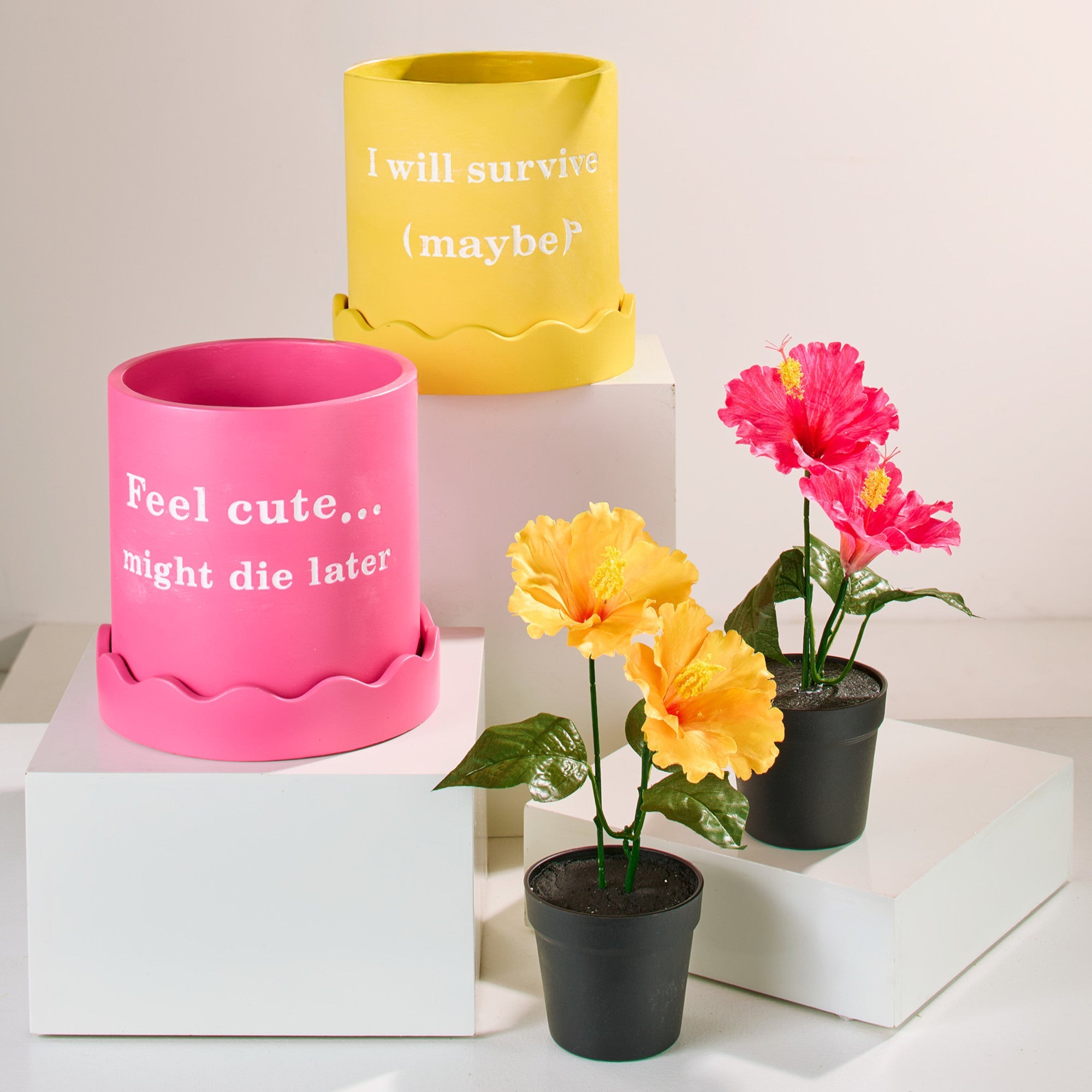 HomeStyles Fun Planter, English, 8-in x 8-in.
