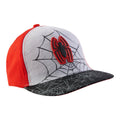 Boys' Licensed Spider-Man Printed Baseball Cap - Grey